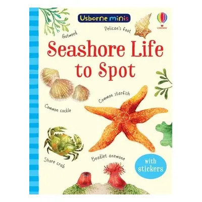 Seashore Life to Spot - Smith, Sam