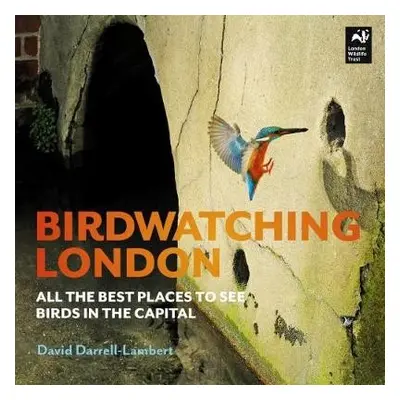 Birdwatching London - Darrell-Lambert, David