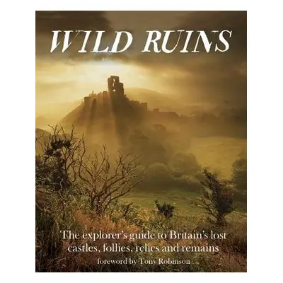 Wild Ruins - Hamilton, Dave