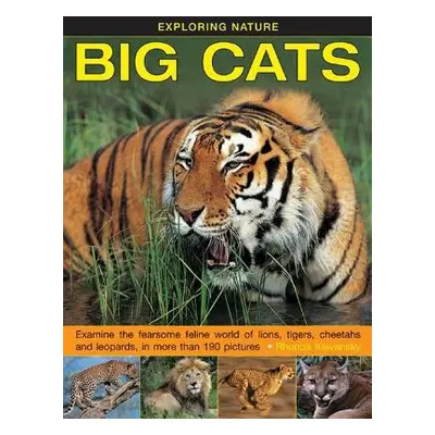 Exploring Nature: Big Cats - Klevansky, Rhonda