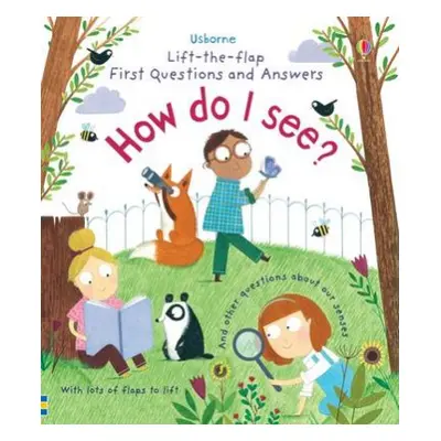 First Questions and Answers: How do I see? - Daynes, Katie