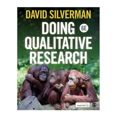 Doing Qualitative Research - Silverman, David