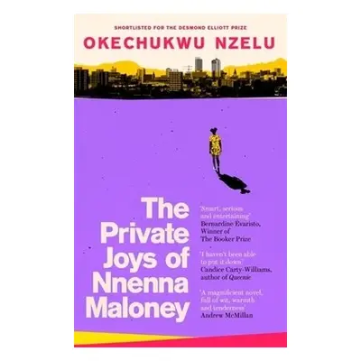 Private Joys of Nnenna Maloney - Nzelu, Okechukwu