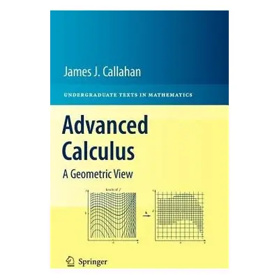 Advanced Calculus - Callahan, James J., Jr.