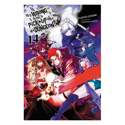 Is It Wrong to Try to Pick Up Girls in a Dungeon?, Vol. 14 (light novel) - Omori, Fujino