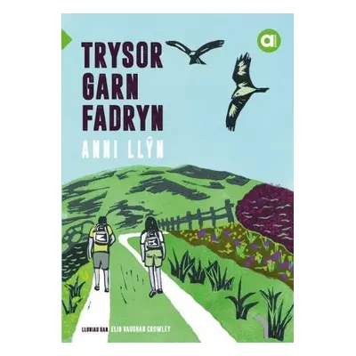 Cyfres Amdani: Trysor Garn Fadryn - Llyn, Anni