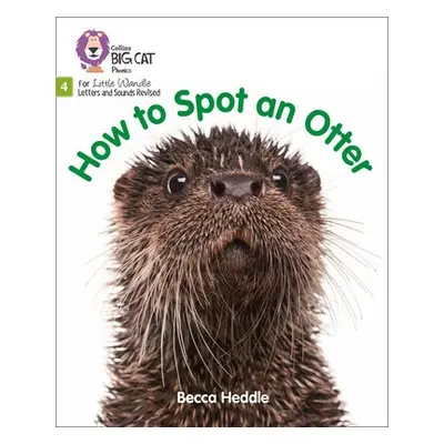 How to Spot an Otter - Heddle, Becca