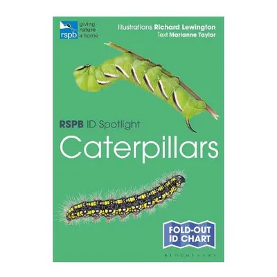 RSPB ID Spotlight - Caterpillars - Taylor, Marianne