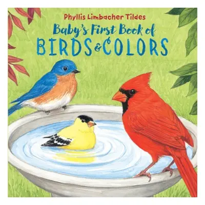 Baby's First Book of Birds a Colors - Tildes, Phyllis Limbacher