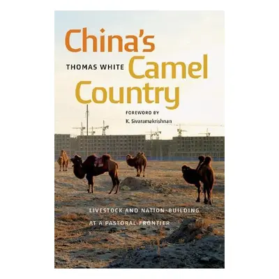 China's Camel Country - White, Thomas