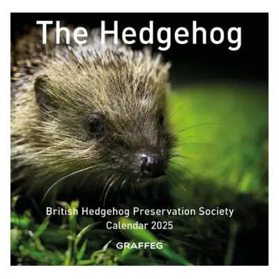 The Hedgehog Calendar 2025 - Society, British Hedgehog Preservation