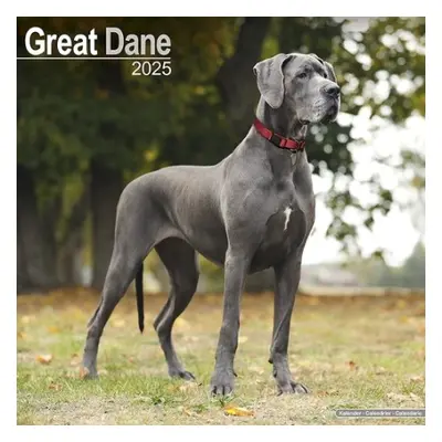 Great Dane (Euro) Calendar 2025 Square Dog Breed Wall Calendar - 16 Month