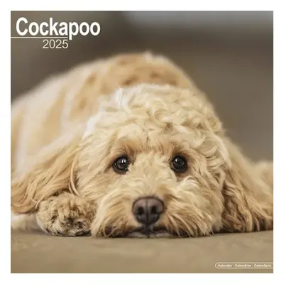 Cockapoo Calendar 2025 Square Dog Breed Wall Calendar - 16 Month