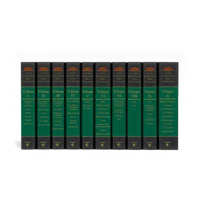 New Interpreter's(r) Bible Commentary Ten Volume Set