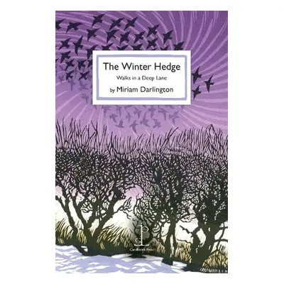 Winter Hedge - Darlington, Miriam