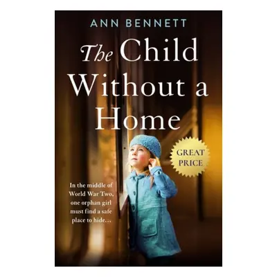 The Child Without a Home