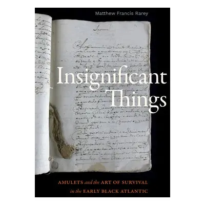 Insignificant Things - Rarey, Matthew Francis