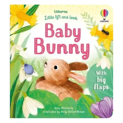 Little Lift and Look Baby Bunny - Milbourne, Anna