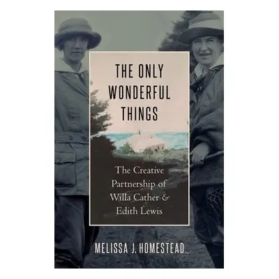 Only Wonderful Things - Homestead, Melissa J. (Professor of English, Professor of English, Unive