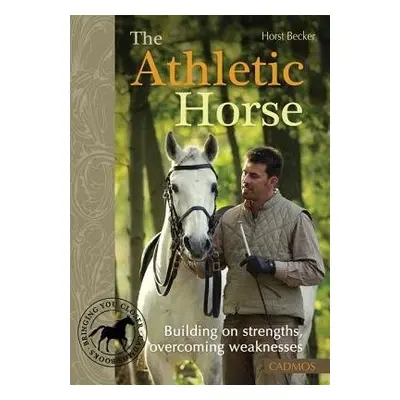 Athletic Horse