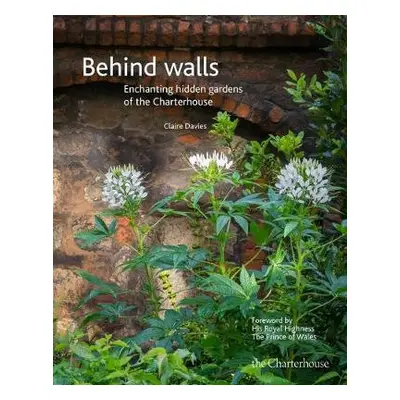 Behind walls - Davies, Claire