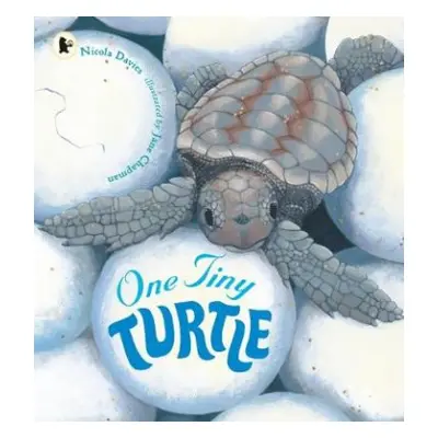 One Tiny Turtle - Davies, Nicola