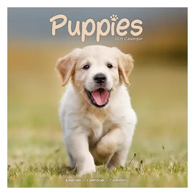 Puppies Calendar 2025 Square Animal Wall Calendar - 16 Month