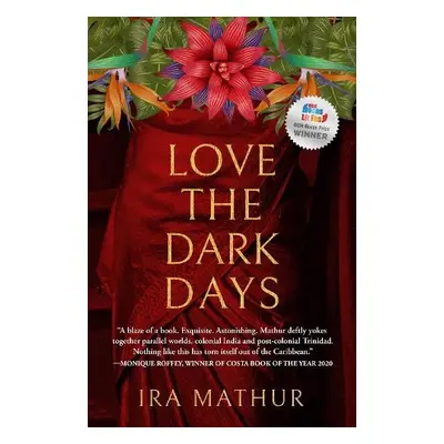 Love the Dark Days - Mathur, Ira