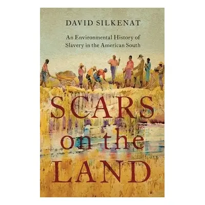 Scars on the Land - Silkenat, David (Senior Lecturer in American History, Senior Lecturer in Ame