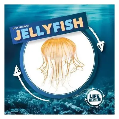 Jellyfish - Holmes, Kirsty