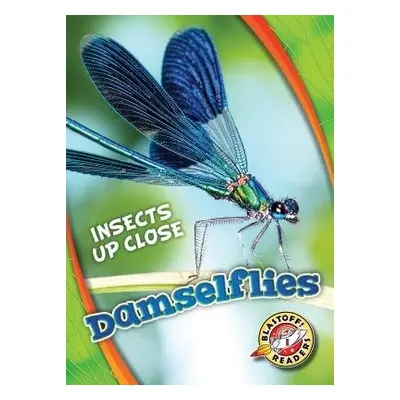 Damselflies - Leaf, Christina