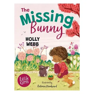 Missing Bunny - Webb, Holly