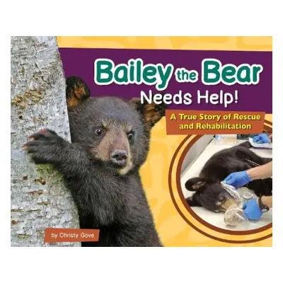 Bailey the Bear Needs Help! - Gove, Christy