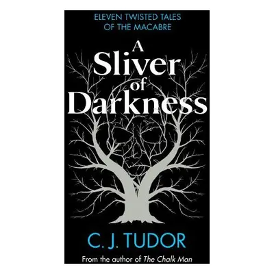 Sliver of Darkness - Tudor, C. J.