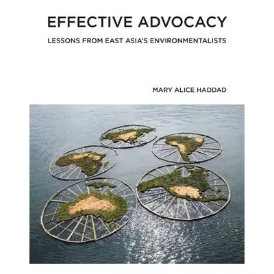 Effective Advocacy - Haddad, Mary Alice