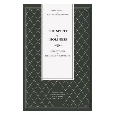 Spirit of Holiness - Delaney, Terry