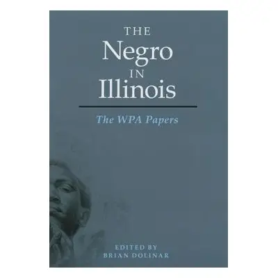 Negro in Illinois