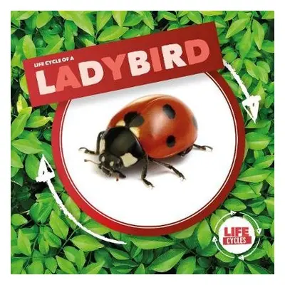 Ladybird - Holmes, Kirsty