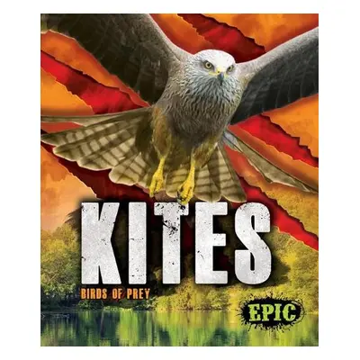 Kites - Sommer, Nathan