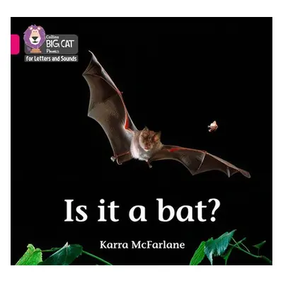 Is it a Bat? - McFarlane, Karra