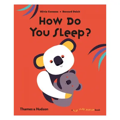 How Do You Sleep? - Cosneau, Olivia a Duisit, Bernard