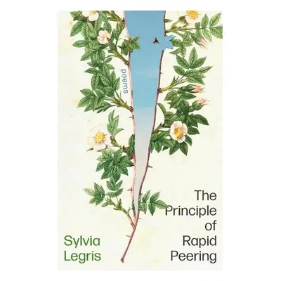 Principle of Rapid Peering - Legris, Sylvia