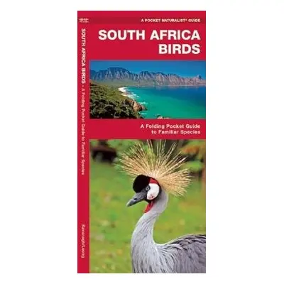 South Africa Birds - Kavanagh, James a Press, Waterford