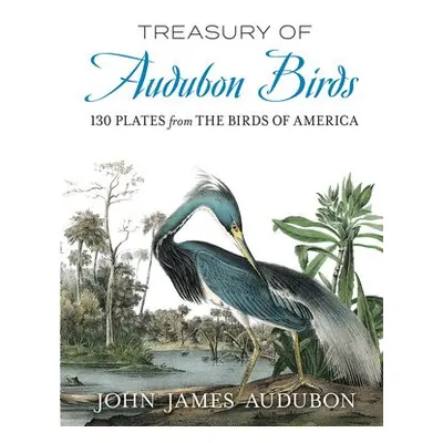 Treasury of Audubon Birds - Audubon, John James