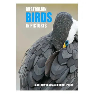 Australian Birds in Pictures - Jones, Mathew a Paton, Duade