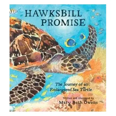 Hawksbill Promise - Owens, Mary Beth