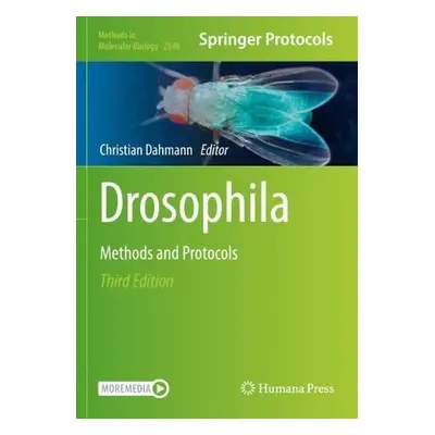 Drosophila