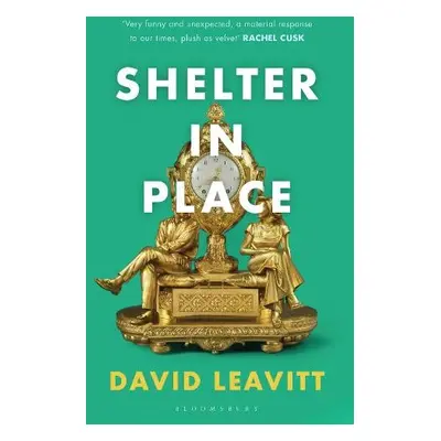 Shelter in Place - Leavitt, David