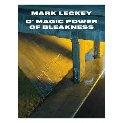 Mark Leckey