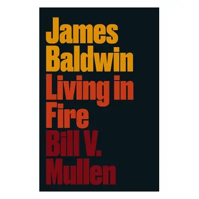 James Baldwin - Mullen, Bill V.